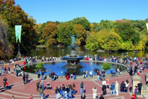 O Central Park é um dos melhores lugares para passeios a tarde em Nova York