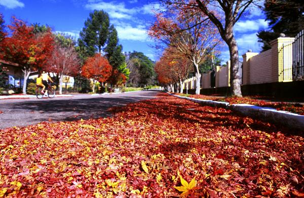 Gramado é uma cidade do Rio Grande do Sul muito famosa por seus festivais. 