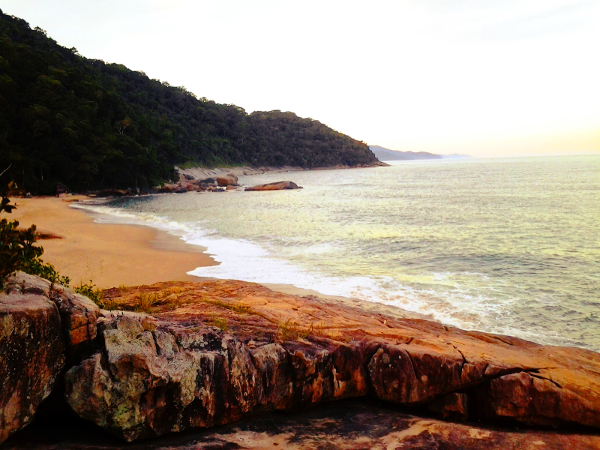Praia Brava (Foto: Reprodução)