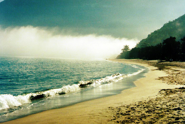 Praia Brava de Guaecá (Foto: Reprodução)