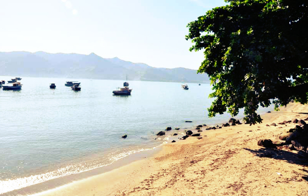 Praia Figueira (Foto: Reprodução)