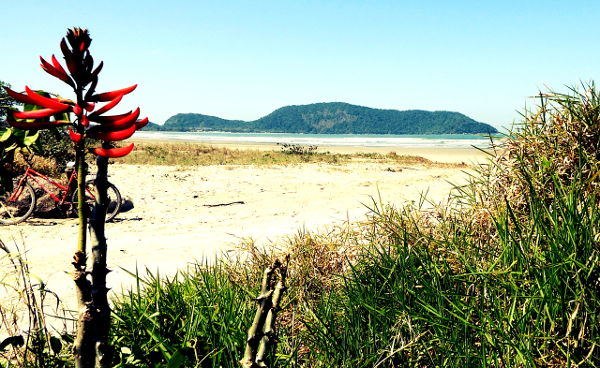 Praia Indaiá Bertioga (Foto: Reprodução)