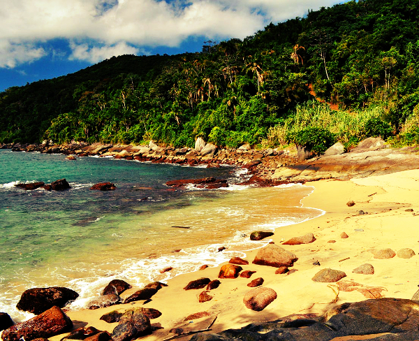 Praia Ponta da Cabeçuda (Foto: Reprodução)