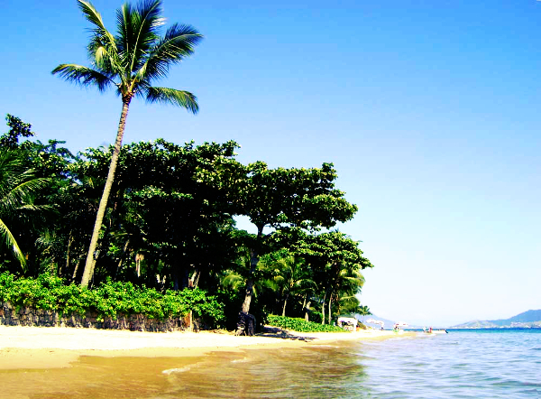 Praia Saco do Poço (Foto: Reprodução)