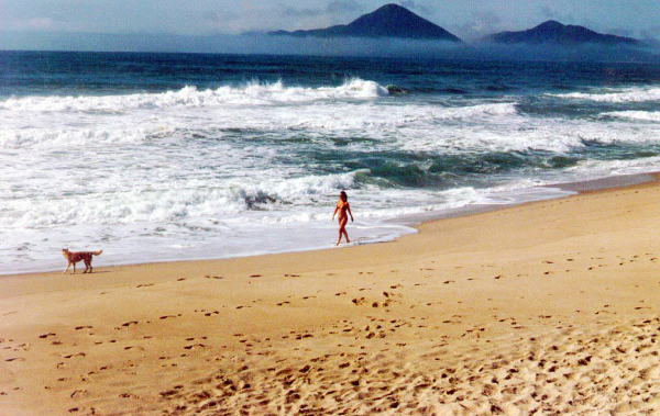 Praia Vermelha do Centro (Foto: Reprodução)