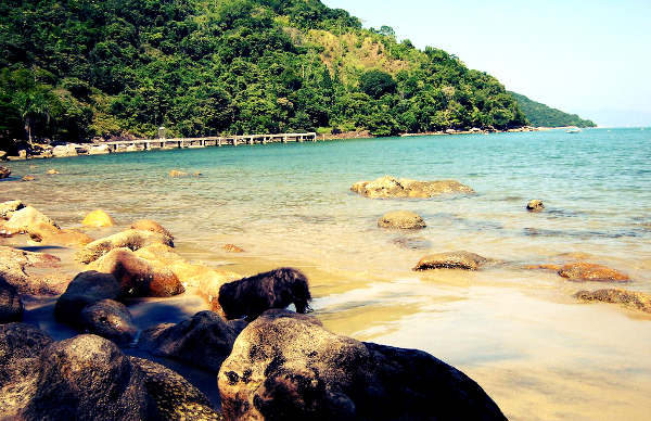 Praia das Galhetas (Foto: Reprodução)