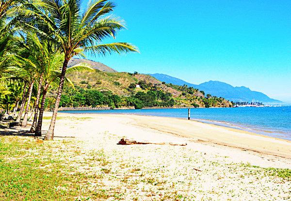 Praia do Barreiros (Foto: Reprodução)