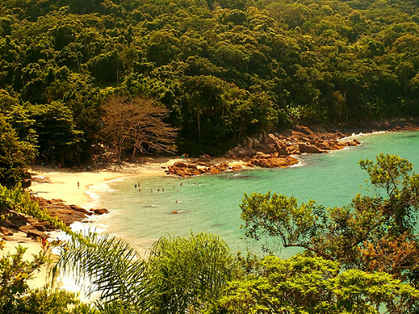 Praia do Deserto (Foto: Reprodução)