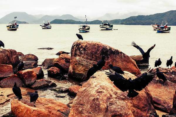 Praia do Léo (Foto: Reprodução)