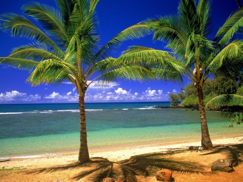 Punta Cana é um ótimo destino para quem deseja relaxar. 