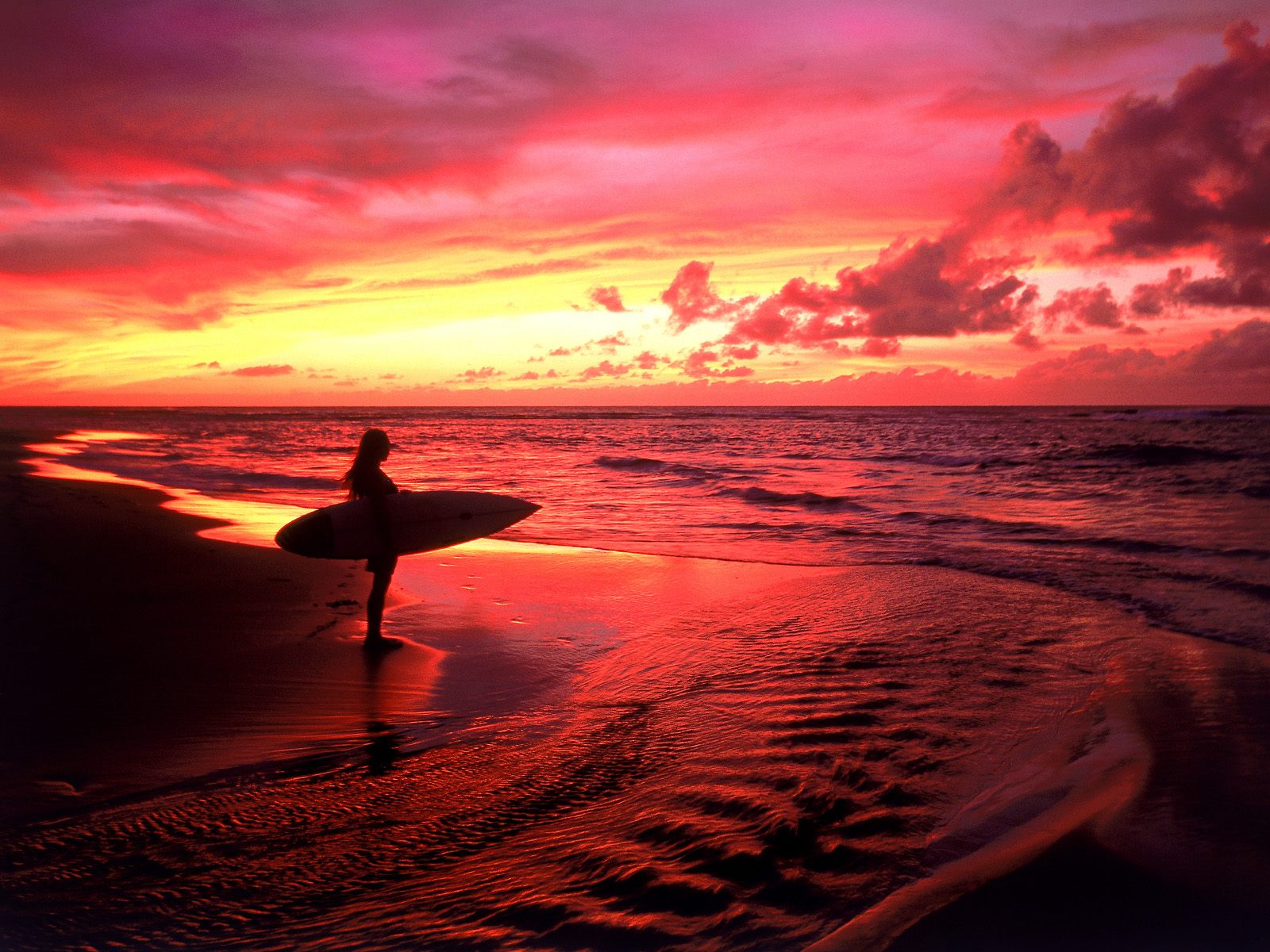 O Hawaii é um estado do Estados Unidos perfeito para quem deseja férias ensolaradas e inesquecíveis!